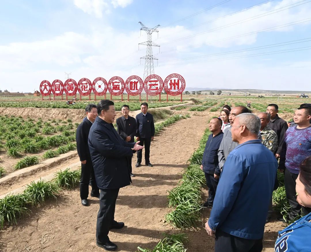 2020年5月11日，習近平考察山西大同市云州區有機黃花標準化種植基地。新華社記者 李學(xué)仁 攝